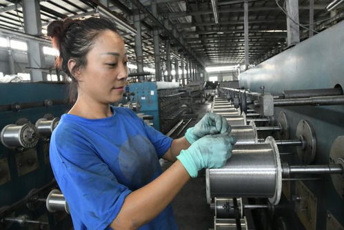 洪企在線丨江蘇港纜新材料 鋁合金工藝全國(guó)領(lǐng)先，新材料技術(shù)研發(fā)領(lǐng)航行業(yè)